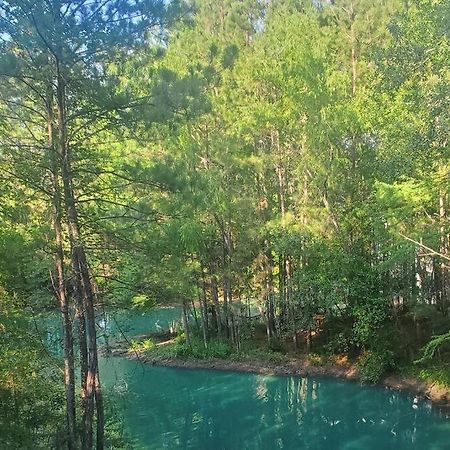 Waterfront Treehouse In A Magical Forest ウォーラー郡  エクステリア 写真