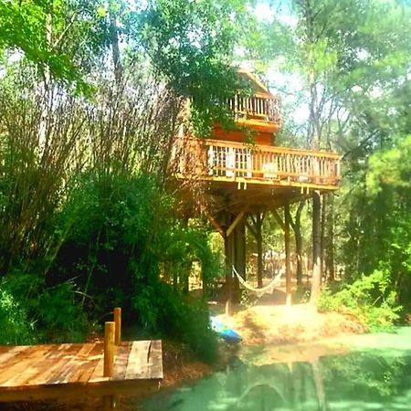 Waterfront Treehouse In A Magical Forest ウォーラー郡  エクステリア 写真