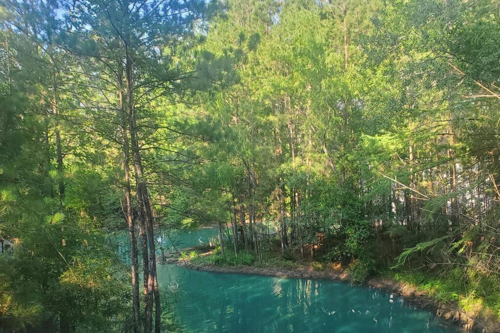 Waterfront Treehouse In A Magical Forest ウォーラー郡  エクステリア 写真
