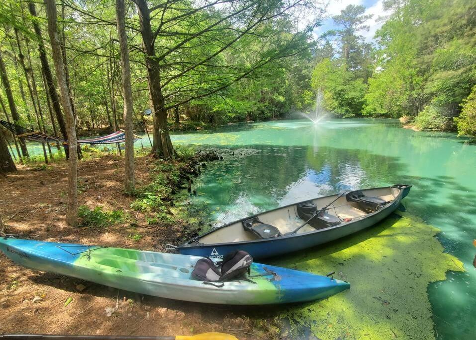 Waterfront Treehouse In A Magical Forest ウォーラー郡  エクステリア 写真