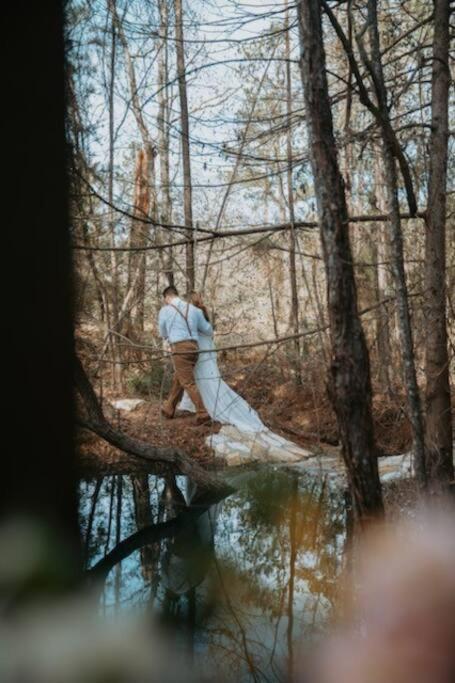 Waterfront Treehouse In A Magical Forest ウォーラー郡  エクステリア 写真
