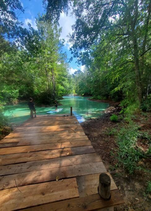 Waterfront Treehouse In A Magical Forest ウォーラー郡  エクステリア 写真