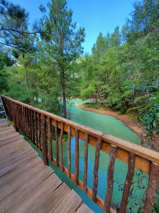 Waterfront Treehouse In A Magical Forest ウォーラー郡  エクステリア 写真
