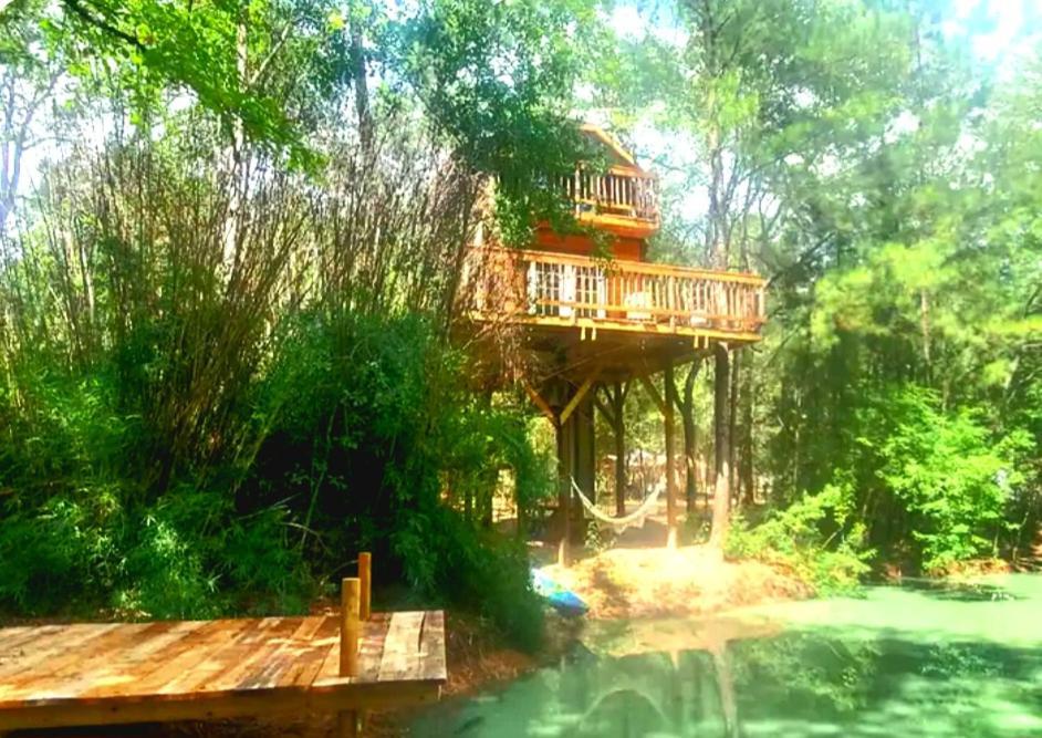 Waterfront Treehouse In A Magical Forest ウォーラー郡  エクステリア 写真
